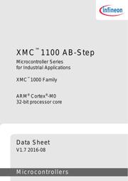 XMC1100-Q024F0016 AA 数据规格书 3