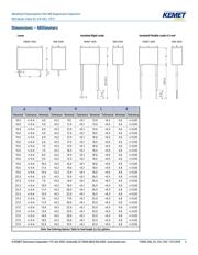 R463W447000M1K datasheet.datasheet_page 3