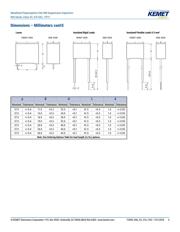 R463W447000M1K datasheet.datasheet_page 4