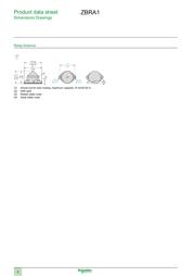 ZBRA1 datasheet.datasheet_page 2