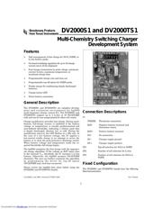 DV2000TS1 datasheet.datasheet_page 1