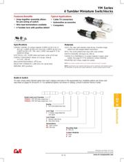 YM06132C205NB datasheet.datasheet_page 1
