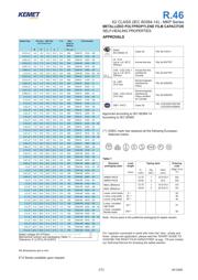 R46KN322000M1K datasheet.datasheet_page 2