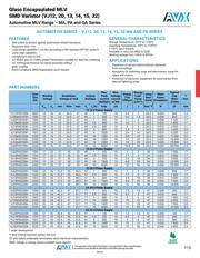 VJ14M00300KBA datasheet.datasheet_page 2