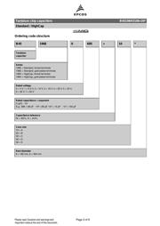 B45196H3106K209 datasheet.datasheet_page 3