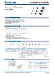 ERT-J0EV474F datasheet.datasheet_page 2