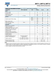 BRT13H-X009T datasheet.datasheet_page 2