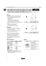 DE2F3KY103MA3BM02F 数据规格书 6