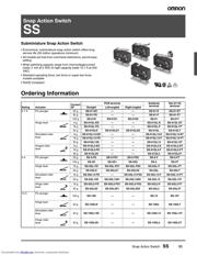 SS10 datasheet.datasheet_page 1