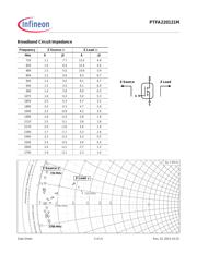 PTFA220121M V4 数据规格书 5