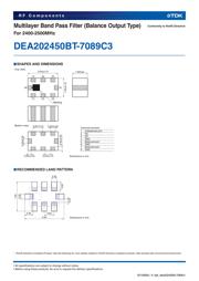 DEA202450BT-7089C3 数据规格书 2