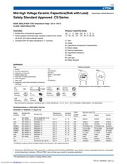 CS80-E2GA102MYVS 数据规格书 1