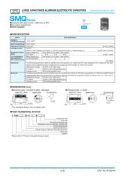 ESMQ451VSN101MP25S datasheet.datasheet_page 1