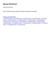 CY7C1061G30-10BV1XI 数据规格书 3