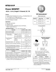 NTS2101PT1 datasheet.datasheet_page 1