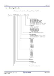 R5F104JHAFA#V0 datasheet.datasheet_page 3