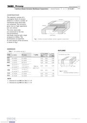 CC1206JRNPO9BN150 datasheet.datasheet_page 3