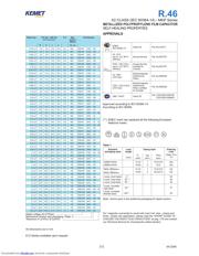 R46KI333000N1M datasheet.datasheet_page 2