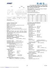 R46KI333000N1M datasheet.datasheet_page 6