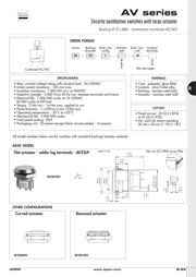 AV191003C940R datasheet.datasheet_page 6