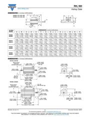 RH1009R000FJ01 datasheet.datasheet_page 2