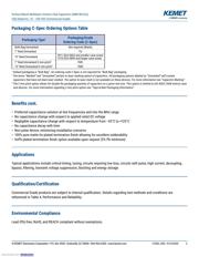 C0805C101J1GAC datasheet.datasheet_page 2