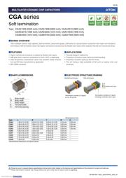 CGA4J1X7S1E106K125AE datasheet.datasheet_page 3