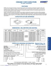 C0805C101J2GALTU datasheet.datasheet_page 1