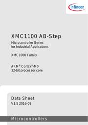 XMC1100T016X0064AAXUMA1 datasheet.datasheet_page 3