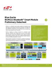 BGM111A256V1 Datenblatt PDF