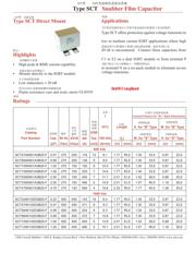 SCT105K102D3B25F datasheet.datasheet_page 1